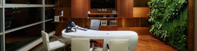 Creating An Eco-Friendly Office